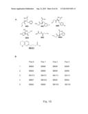 TEMPLATE DIRECTED SPLIT AND MIX SYNTHESIS OF SMALL MOLECULE LIBRARIES diagram and image