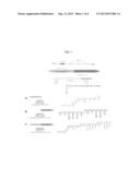 HUMAN-DERIVED CELL-PERMEABLE PEPTIDE BIOACTIVE PEPTIDE CONJUGATE, AND USE     THEREOF diagram and image