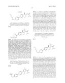 PHENICOL ANTIBACTERIALS diagram and image