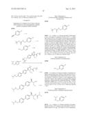 PHENICOL ANTIBACTERIALS diagram and image