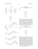 PHENICOL ANTIBACTERIALS diagram and image