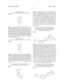 PHENICOL ANTIBACTERIALS diagram and image