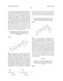 PHENICOL ANTIBACTERIALS diagram and image