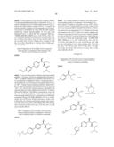 PHENICOL ANTIBACTERIALS diagram and image