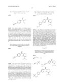 PHENICOL ANTIBACTERIALS diagram and image