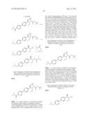 PHENICOL ANTIBACTERIALS diagram and image