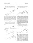 PHENICOL ANTIBACTERIALS diagram and image