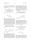 PHENICOL ANTIBACTERIALS diagram and image