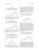 PHENICOL ANTIBACTERIALS diagram and image