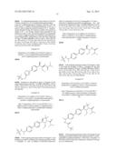 PHENICOL ANTIBACTERIALS diagram and image