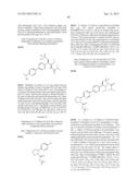 PHENICOL ANTIBACTERIALS diagram and image