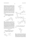 PHENICOL ANTIBACTERIALS diagram and image