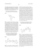 PHENICOL ANTIBACTERIALS diagram and image