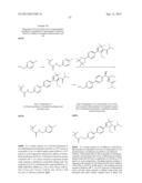 PHENICOL ANTIBACTERIALS diagram and image