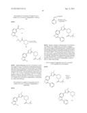 NOVEL COMPOUNDS THAT ARE ERK INHIBITORS diagram and image