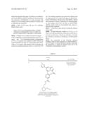 BICYCLIC HETEROCYCLE DERIVATIVES FOR THE TREATMENT OF PULMONARY ARTERIAL     HYPERTENSION diagram and image