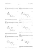 PROCESS FOR THE PREPARATION OF DIHYDROPYRROLE DERIVATIVES diagram and image