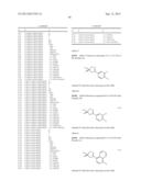 PROCESS FOR THE PREPARATION OF DIHYDROPYRROLE DERIVATIVES diagram and image