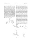 PROCESS FOR THE PREPARATION OF DIHYDROPYRROLE DERIVATIVES diagram and image