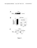 CANCER THERAPY USING Bcl-XL-SPECIFIC siNA diagram and image