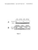 CANCER THERAPY USING Bcl-XL-SPECIFIC siNA diagram and image