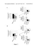 CANCER THERAPY USING Bcl-XL-SPECIFIC siNA diagram and image