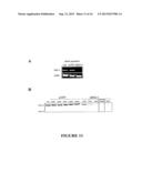 CANCER THERAPY USING Bcl-XL-SPECIFIC siNA diagram and image