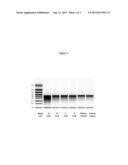 METHOD FOR PRODUCING A PROTEIN OF INTEREST AT THE SITE OF A CLOT diagram and image