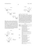 METHOD FOR PRODUCING A PROTEIN OF INTEREST AT THE SITE OF A CLOT diagram and image