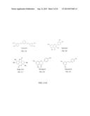 CELLULOSE DERIVATIVES FOR ENHANCING BIOAVAILABILITY OF FLAVONOIDS diagram and image