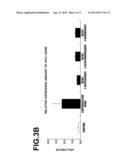 Expression Modulator For Clock Gene diagram and image