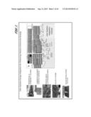 Systems, Computer Readable Media, and Computer Programs For Enhancing     Energy Efficiency Via Systematic Hybrid Inter-Processes Integration diagram and image