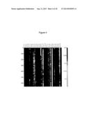 SYSTEM FOR MOLECULAR PACKING CALCULATIONS diagram and image