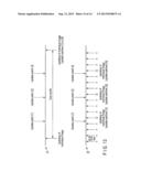 INFORMATION PROCESSING APPARATUS, IMAGE FILE MANAGEMENT METHOD AND STORAGE     MEDIUM diagram and image