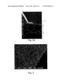 NONWOVEN FROM BULKED FILAMENT TOW diagram and image