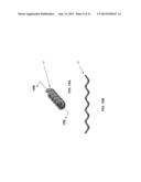 METAL SHEATHED CABLE ASSEMBLY WITH NON-LINEAR BONDING/GROUNDING CONDUCTOR diagram and image