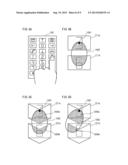 INPUT DEVICE AND MOBILE TERMINAL diagram and image