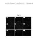 TWO-DIMENSIONAL PHOTONIC CRYSTAL SURFACE EMITTING LASER diagram and image