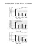 MULTI-COMPARTMENTAL MACROPHAGE DELIVERY diagram and image