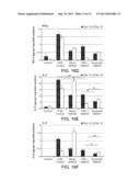 MULTI-COMPARTMENTAL MACROPHAGE DELIVERY diagram and image