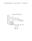 MULTI-COMPARTMENTAL MACROPHAGE DELIVERY diagram and image