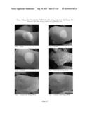 FOAMABLE FORMULATION diagram and image