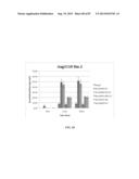 FOAMABLE FORMULATION diagram and image