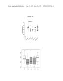 METHODS AND MATERIALS FOR TREATMENT OF POMPE S DISEASE diagram and image