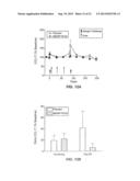 ANTI-IGE ANTIBODIES AND METHODS USING SAME diagram and image