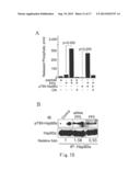 METHOD FOR CANCER DETECTION diagram and image