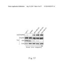 METHOD FOR CANCER DETECTION diagram and image