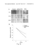 METHOD FOR CANCER DETECTION diagram and image