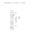 Multiple Gene Expression Including sORF Constructs and Methods with     Polyproteins, Pro-Proteins and Proteolysis diagram and image