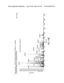 NOVEL CANCER-ASSOCIATED ANTIGEN diagram and image